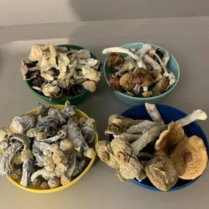 Buy Psychedelics, magic mushrooms ,mushroom capsules , psilocybin mushrooms,DMT,LSD, psilocybin capsules For Sale