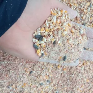 Закуповуємо зерновідходи, некондицію та побічні продукти