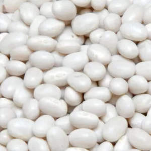 Сортова квасоля гуртом від виробника — понад 20 сортів у наявності