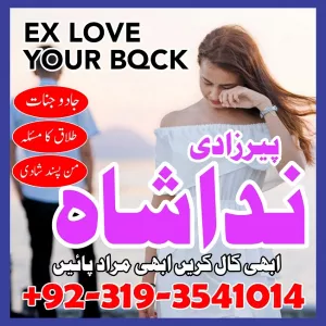 powerful amil baba in lahore black magic specialist kala jadu kala ilam krne wale baba in france