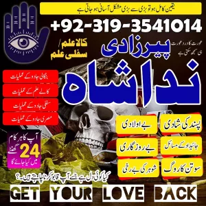 powerful amil baba in lahore black magic specialist kala jadu kala ilam krne wale baba in canada