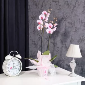 Flori pentru orice ocazie, livrate cu grijă în Chișinău