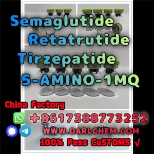 Semaglutide 5-AMINO-1MQ Retatrutide 910463-68-2 Low Price