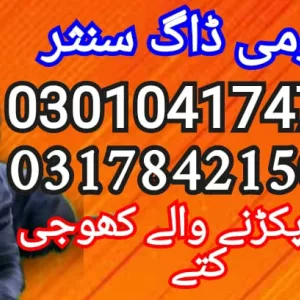 Army dog center pakistan 03010417477