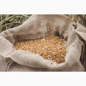 Постійно закуповуємо зерновідходи та некондиційну агропродукцію