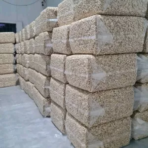 Quality Cashew Nuts For Export | Cashew Nuts Supplier | Cashew Nuts W180 | Cashew Nuts W240 | Cashew Nuts W320