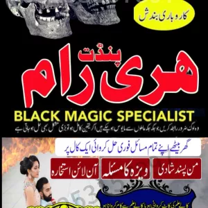 Professional Astrologer & Black Magic Expert – Amil Baba