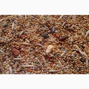 Постійно купуємо зерновідходи та некондиційну агропродукцію