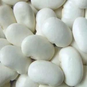 Квасоля від виробника. Різні сорти в наявності