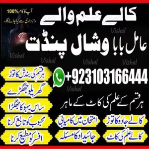 Black Magic Removal Love Problem Solutions Protection from Evil Eye Bringing Back Lost Love Business & Financial Blessings