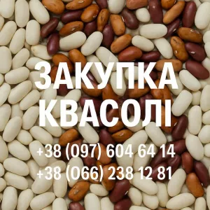 Купуємо квасолю різних сортів