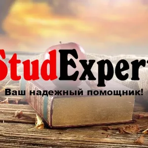 Купить доработку магистерской работы в Украине