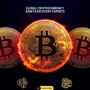 Professional Crypto Assets Recovery services from Captain WebGenesis