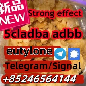 High purity CAS:137350-66-4 raw material 5cl