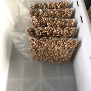 Продам бізнес по переробці волоського горіху