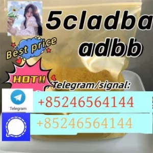 CAS:14680-51-4 High quality products, fast delivery, safe arrival Whatsapp/Telegram；+85246564144