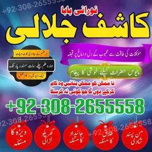 Top 7 Rohani Amil Baba in Pakistan Solve Marriage Business Issues Kala Jadu Specialist Amil Baba Protection & Solutions22