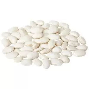 Купуємо квасолю на переробку. Приймаємо різні сорти