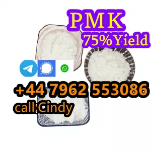 Reliable Manufacturer Supply Raw Material CAS 1451-82-7 BK4 /2B4M