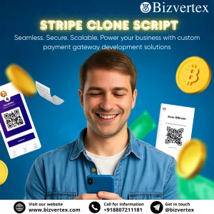 Launch Your Own Payment Gateway with Stripe Clone Script – Bizvertex