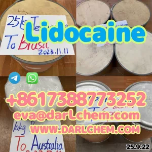 137-58-6 Safe Delivery 100% Pass Customs