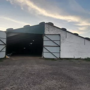 Сдам в оренду склади.