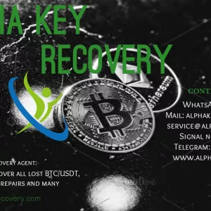 CONSULT A LICENSED BTC / USDT RECOVERY HACKER - ALPHA KEY