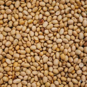 Постійно купуємо половинки сої. Вигідні умови співпраці