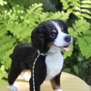 Валяна іграшка собака Бернский зенненхунд з шерсті інтерєрна пес хендмєйд скульптура войлочная подарунок сувенір