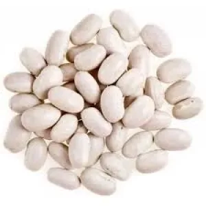 Купуємо білу, кольорову квасолю. Самовивіз