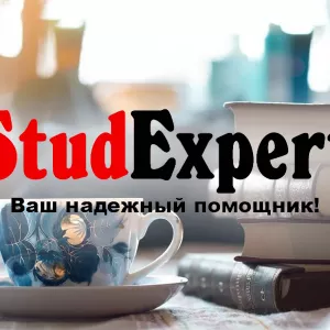 Купить разработку стартап-проекта для дипломной работы в Украине