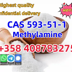 Buy High Quality CAS 593-51-1 Methylamine Hydrochloride at Best Price