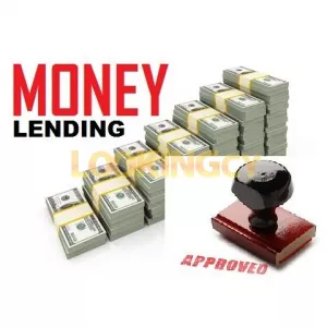 We are Offering Financial Services