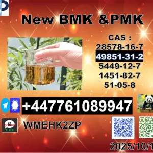 Direct Manufacturer 49851-31-2 BVF and 1451-82-7 BK4/2b4m Large quantity