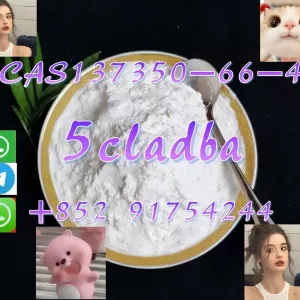 137350-66-4(peptides)