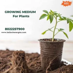 Growing Medium for Plants