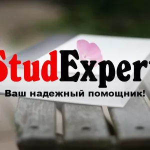 Купить введение отчета по практике в Украине