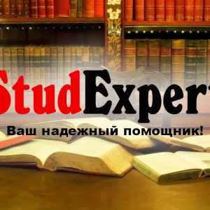 Купить презентацию на защиту отчета по практике в Украине