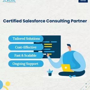 Top salesforce Consultants in India