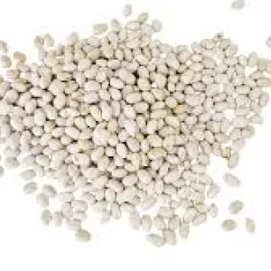 Закуповуємо квасолю різних сортів (від 10 тонн)