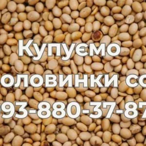 Купівля половинок сої на постійній основі
