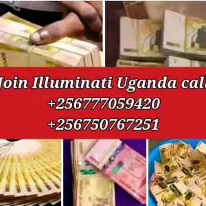 Illuminate Agent in Northern Ugandacall+256750767251/+256777059420