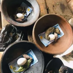 court case spells that will help you have criminal and civil court cases.