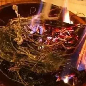 Black Magic Spells Caster Cell @ +27630716312 Powerful Spiritual Healer.