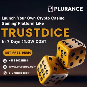 Start Your Crypto Casino Journey with Crypto Casino Game Script – Free Consultation Today