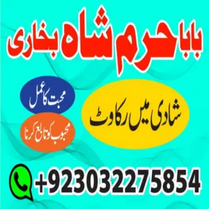 pakistani amil baba real amil baba in pakistan najoomi baba in pakistan bangali baba in pakistan