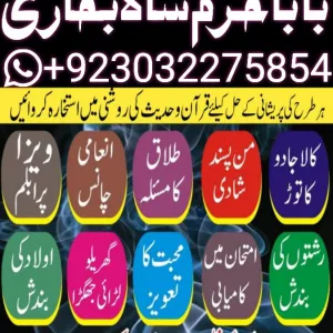 no 1 verified online love vashikaran specialist kala jadu expert specialist in usa kala jadu expert