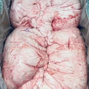 Wholesale Lamb Tail Fat Sheep Meat Tail Fat Halal