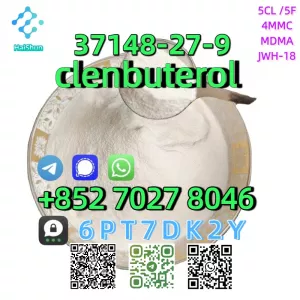 CAS:37148-27-9 clenbuterol