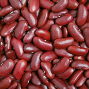 Квасоля в асортименті, оптом.Доставка по Україні